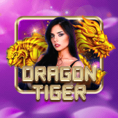 Dragon Tiger 1plus live casino game