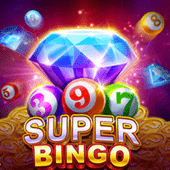Super Bingo hot 1plus game